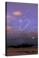 Scorpio In a Night Sky-Laurent Laveder-Stretched Canvas