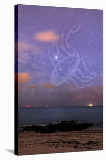 Scorpio In a Night Sky-Laurent Laveder-Stretched Canvas