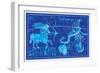 Scorpio, Sagittarius and Lupus-null-Framed Premium Giclee Print