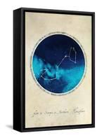 Scorpio-GI ArtLab-Framed Stretched Canvas