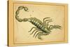 Scorpio-Aspin Jehosaphat-Stretched Canvas