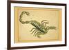 Scorpio-Aspin Jehosaphat-Framed Premium Giclee Print