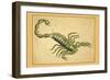 Scorpio-Aspin Jehosaphat-Framed Art Print