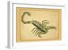 Scorpio-Aspin Jehosaphat-Framed Art Print