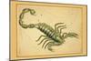 Scorpio-Aspin Jehosaphat-Mounted Art Print