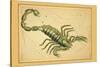 Scorpio-Aspin Jehosaphat-Stretched Canvas