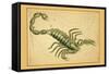 Scorpio-Aspin Jehosaphat-Framed Stretched Canvas