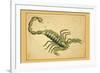 Scorpio-Aspin Jehosaphat-Framed Art Print