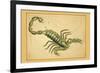 Scorpio-Aspin Jehosaphat-Framed Art Print