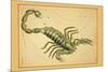 Scorpio-Aspin Jehosaphat-Mounted Art Print