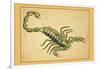 Scorpio-Aspin Jehosaphat-Framed Art Print