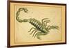 Scorpio-Aspin Jehosaphat-Framed Art Print