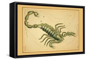 Scorpio-Aspin Jehosaphat-Framed Stretched Canvas