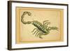 Scorpio-Aspin Jehosaphat-Framed Art Print