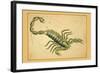 Scorpio-Aspin Jehosaphat-Framed Art Print