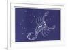 Scorpio-Roberta Norton-Framed Premium Giclee Print