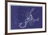 Scorpio-Roberta Norton-Framed Premium Giclee Print