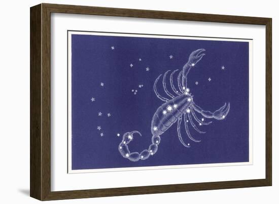 Scorpio-Roberta Norton-Framed Art Print