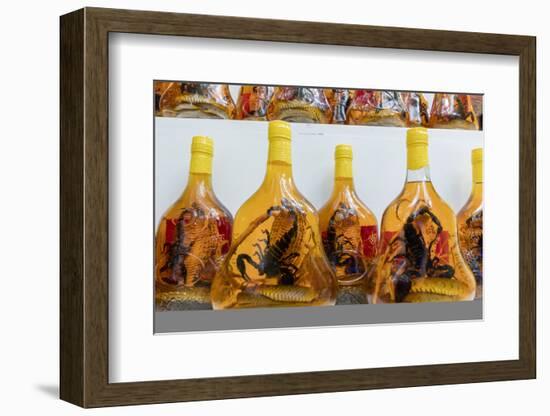 Scorpion and snake brandy for sale in Vietnam, Hanoi, Vietnam, Indochina, Southeast Asia, Asia-Alex Robinson-Framed Photographic Print