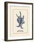 Scorpion Shell-Gregory Gorham-Framed Art Print