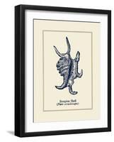 Scorpion Shell-Gregory Gorham-Framed Premium Giclee Print