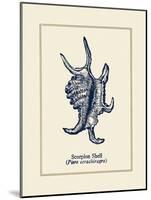 Scorpion Shell-Gregory Gorham-Mounted Premium Giclee Print