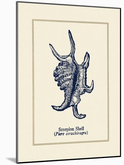 Scorpion Shell-Gregory Gorham-Mounted Premium Giclee Print