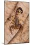 Scorpion, Yasuni NP, Amazon Rainforest, Ecuador, South America-Pete Oxford-Mounted Photographic Print