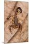 Scorpion, Yasuni NP, Amazon Rainforest, Ecuador, South America-Pete Oxford-Mounted Photographic Print