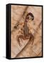 Scorpion, Yasuni NP, Amazon Rainforest, Ecuador, South America-Pete Oxford-Framed Stretched Canvas
