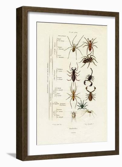 Scorpions, 1833-39-null-Framed Giclee Print