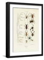 Scorpions, 1833-39-null-Framed Giclee Print