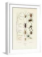 Scorpions, 1833-39-null-Framed Giclee Print