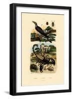 Scorpions, 1833-39-null-Framed Giclee Print