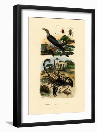 Scorpions, 1833-39-null-Framed Giclee Print