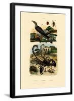 Scorpions, 1833-39-null-Framed Giclee Print