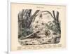 Scorpions and Spiders, C.1860-null-Framed Premium Giclee Print