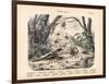 Scorpions and Spiders, C.1860-null-Framed Premium Giclee Print