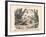 Scorpions and Spiders, C.1860-null-Framed Giclee Print