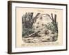 Scorpions and Spiders, C.1860-null-Framed Giclee Print