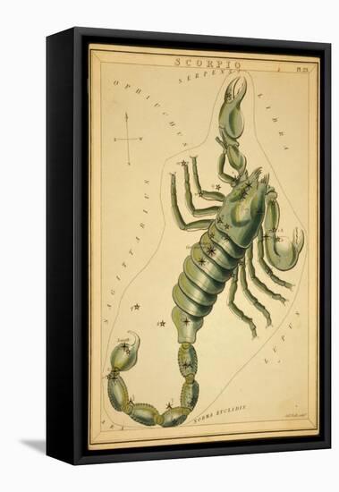 Scorpius Constellation, Zodiac Sign, 1825-Science Source-Framed Stretched Canvas