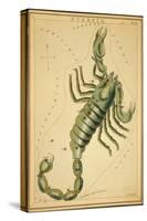 Scorpius Constellation, Zodiac Sign, 1825-Science Source-Stretched Canvas
