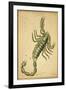 Scorpius Constellation, Zodiac Sign, 1825-Science Source-Framed Giclee Print