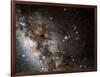 Scorpius Constellation-Eckhard Slawik-Framed Photographic Print