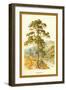 Scotch Fir-W.h.j. Boot-Framed Art Print