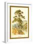 Scotch Fir-W.h.j. Boot-Framed Art Print