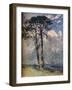 'Scotch Firs',1805-David Cox the elder-Framed Giclee Print