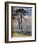 'Scotch Firs',1805-David Cox the elder-Framed Giclee Print