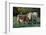 (Scotch) Highland Cow and Calf, Woodstock, Vermont, USA-Lynn M^ Stone-Framed Photographic Print