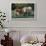 (Scotch) Highland Cow and Calf, Woodstock, Vermont, USA-Lynn M^ Stone-Framed Photographic Print displayed on a wall